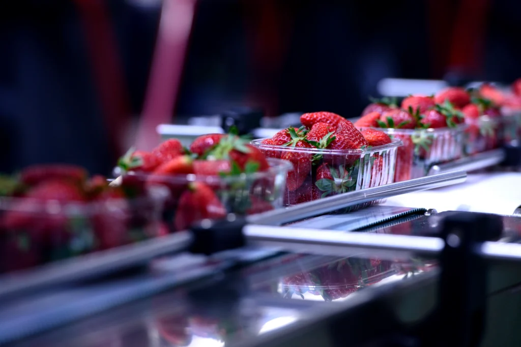 Fresh strawberries moving through a food processing and packaging line with sanitized, coated surfaces designed for hygiene and durability